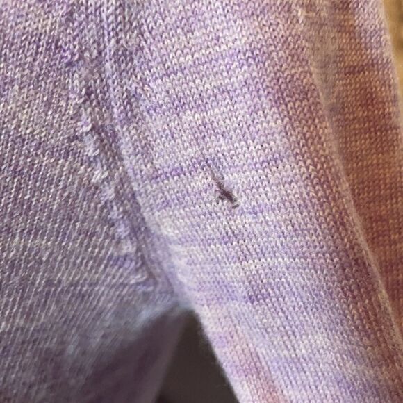 Lord & Taylor Extra Fine Merino Wool Sweater Size Medium Petite - Picture 5 of 7